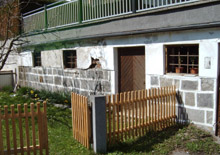 Bild vorher